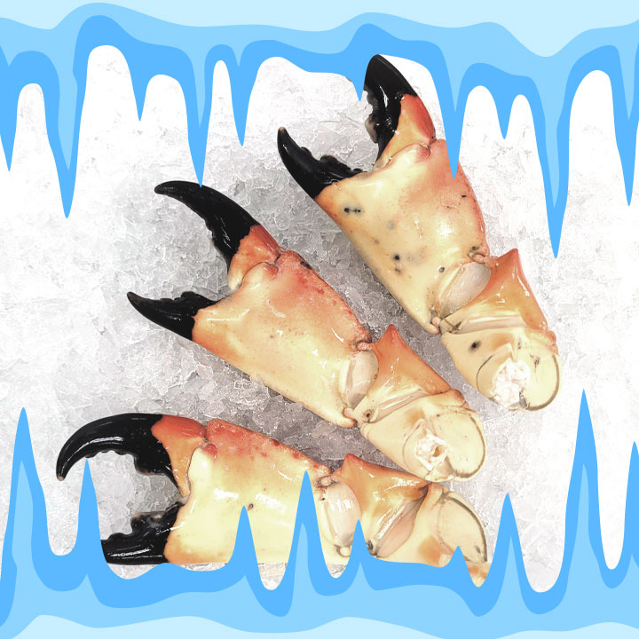 SPECIAL Frozen Jumbo Stone Crabs