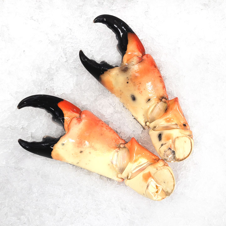 Colossal Stone Crabs