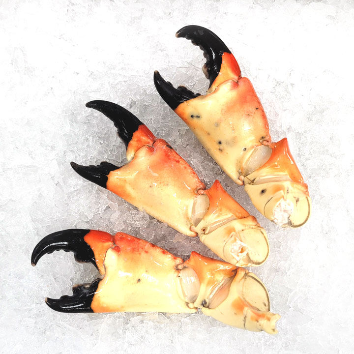 Jumbo Stone Crabs
