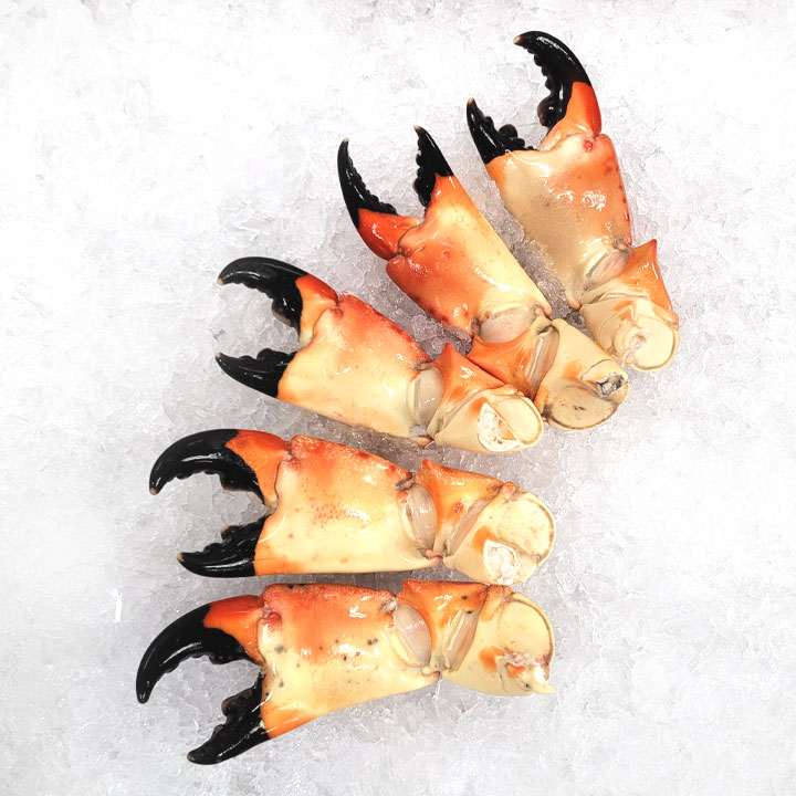 Large Stone Crabs