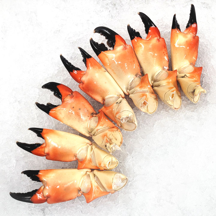 Select Stone Crabs